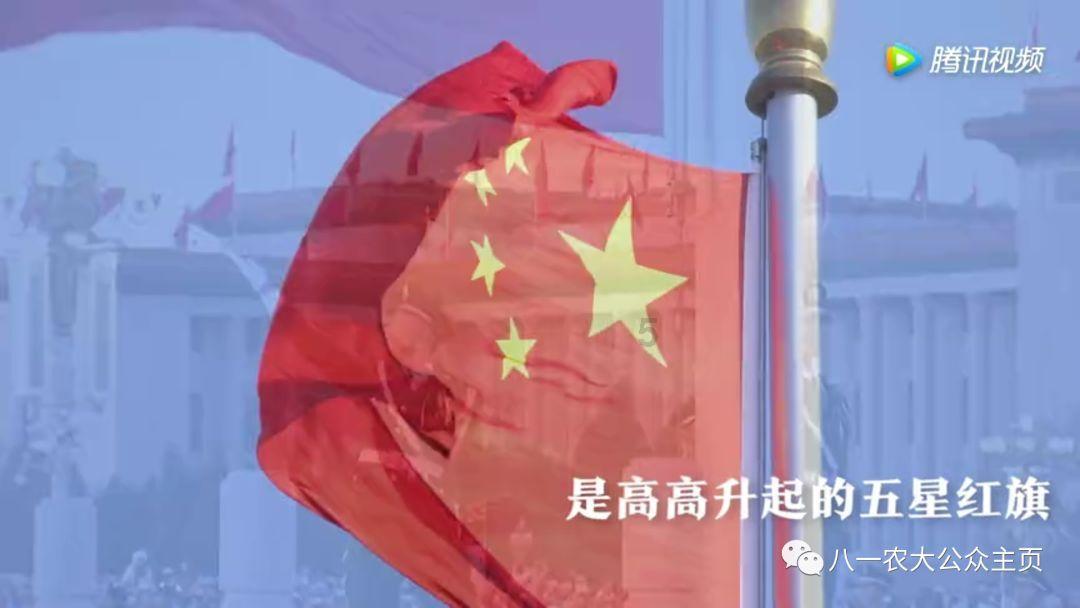 蜂王救援